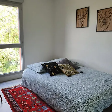 Daurade Balcon Parking Free - Bus Proche Centre Daire Toulouse